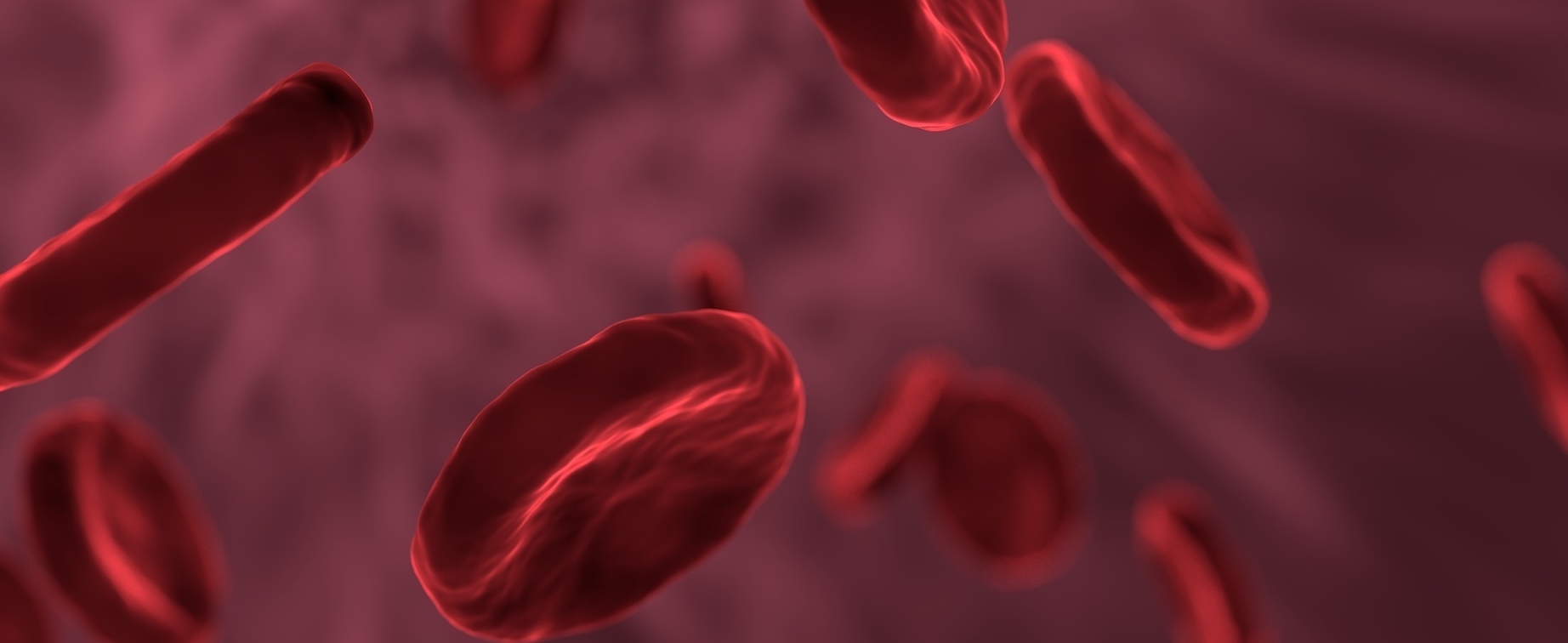 How do Blood Thinners Function in the Body and Prevent Blood Clots?